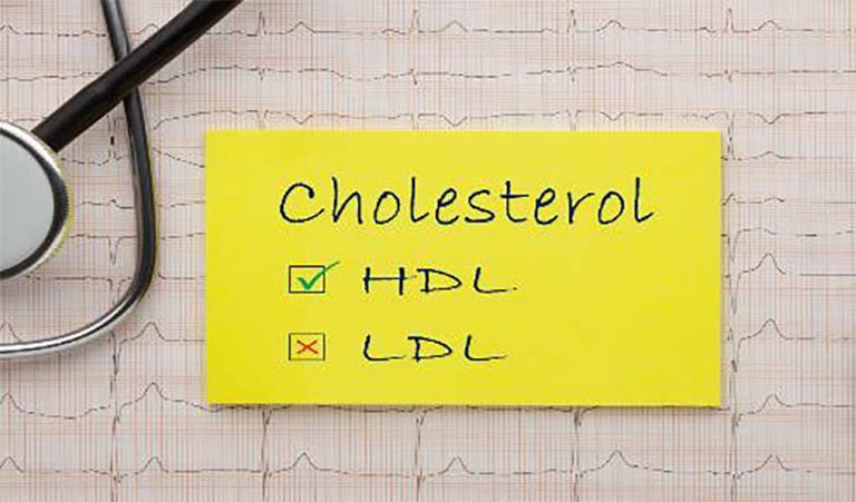 Cholesterol Sleep Study